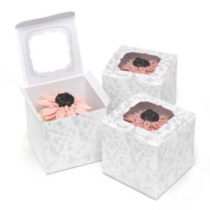 Cupcake boxes